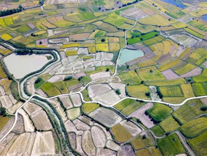 С���壺�_���r��ĸ��Ļ