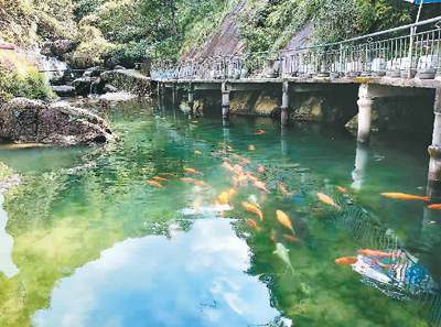 �S�l���F�壺�@�����Ӳ�һ�㣡